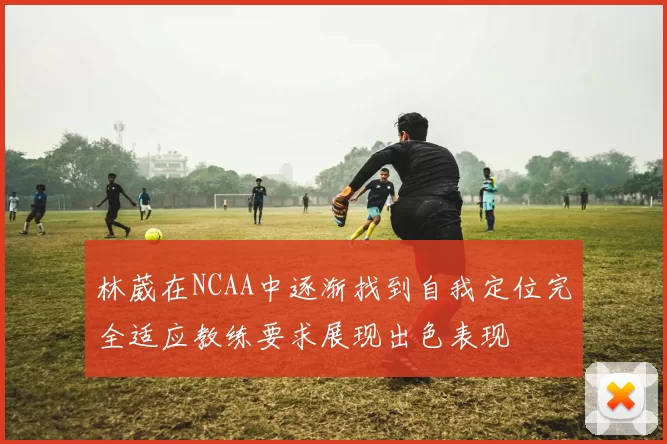 林葳在NCAA中逐渐找到自我定位完全适应教练要求展现出色表现