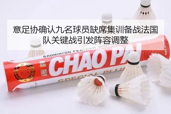 意足协确认九名球员缺席集训备战法国队关键战引发阵容调整 - mksports